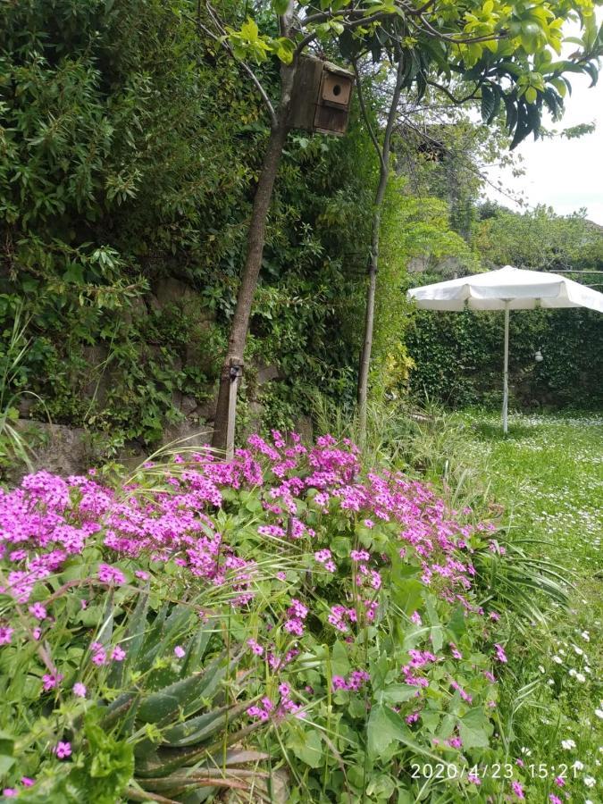 Apartamentos & Casa Rural Boada Con Jardin Interior Y Barbacoa Villamiel ภายนอก รูปภาพ